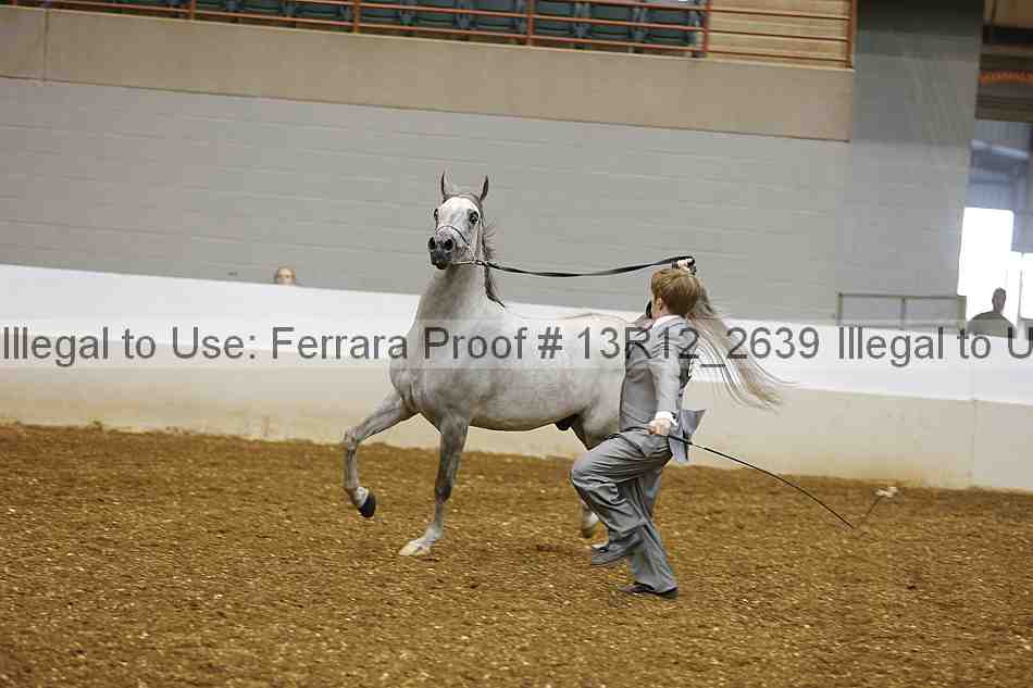 Proof 13r12_2639