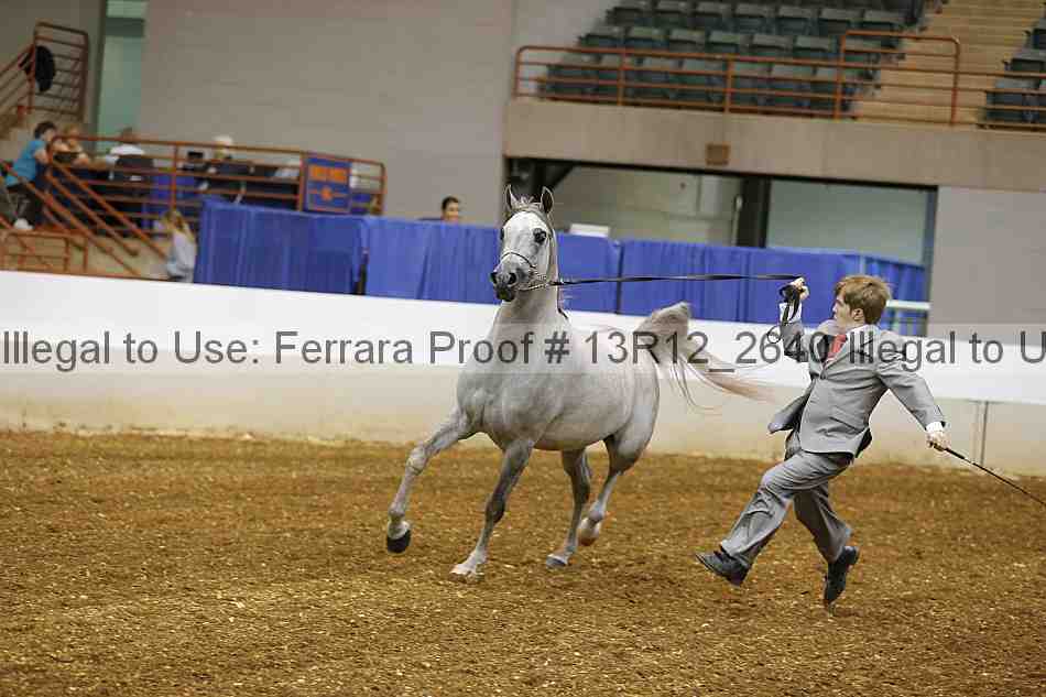 Proof 13r12_2640