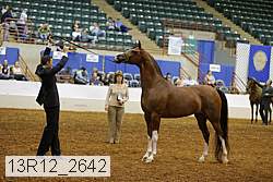 13r12_2642 proof