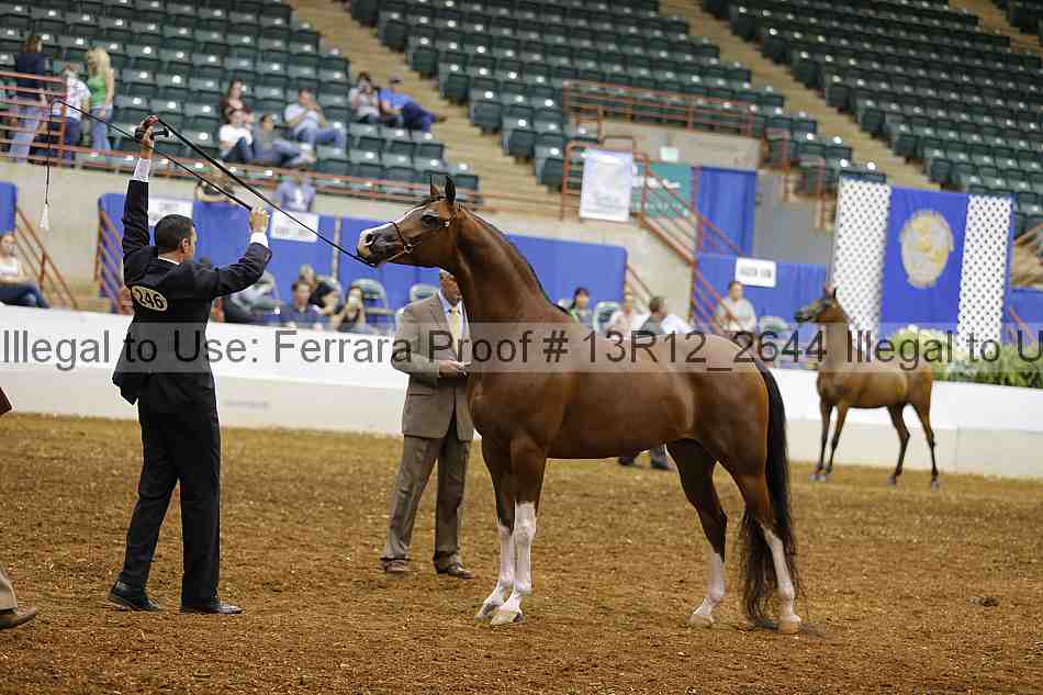 Proof 13r12_2644