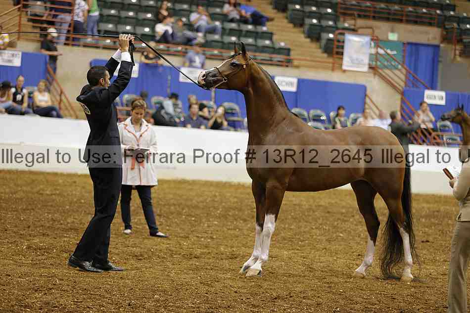 Proof 13r12_2645
