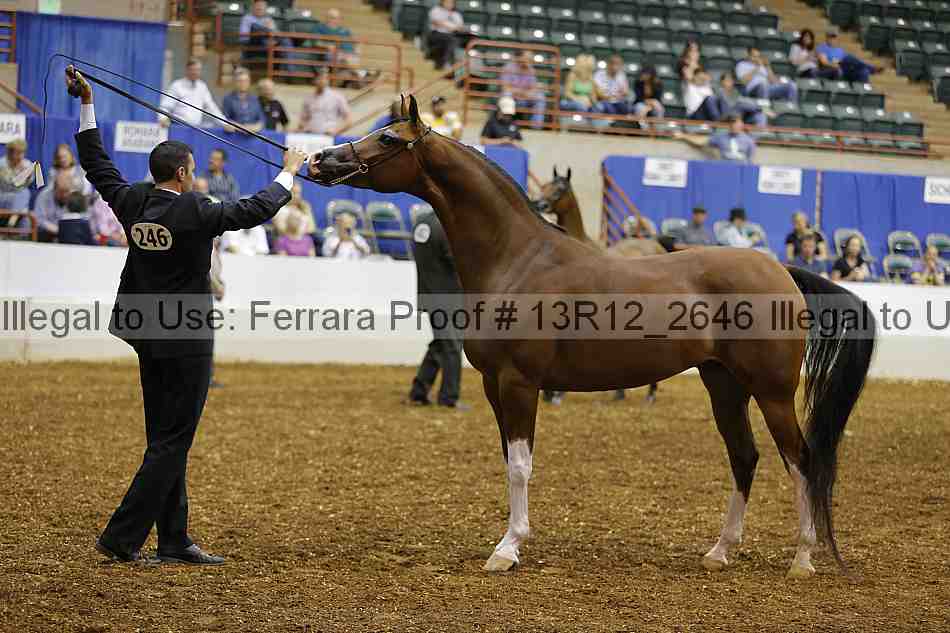 Proof 13r12_2646