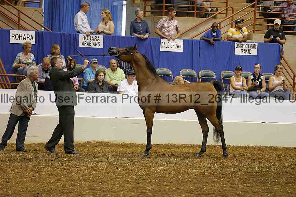 Proof 13r12_2647
