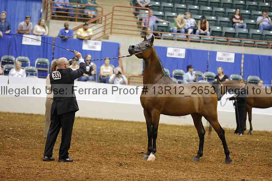 Proof 13r12_2653