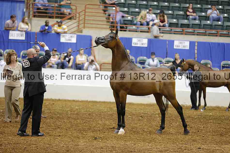 Proof 13r12_2655