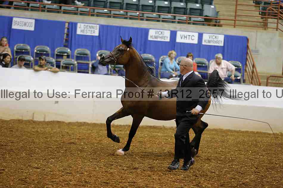 Proof 13r12_2657