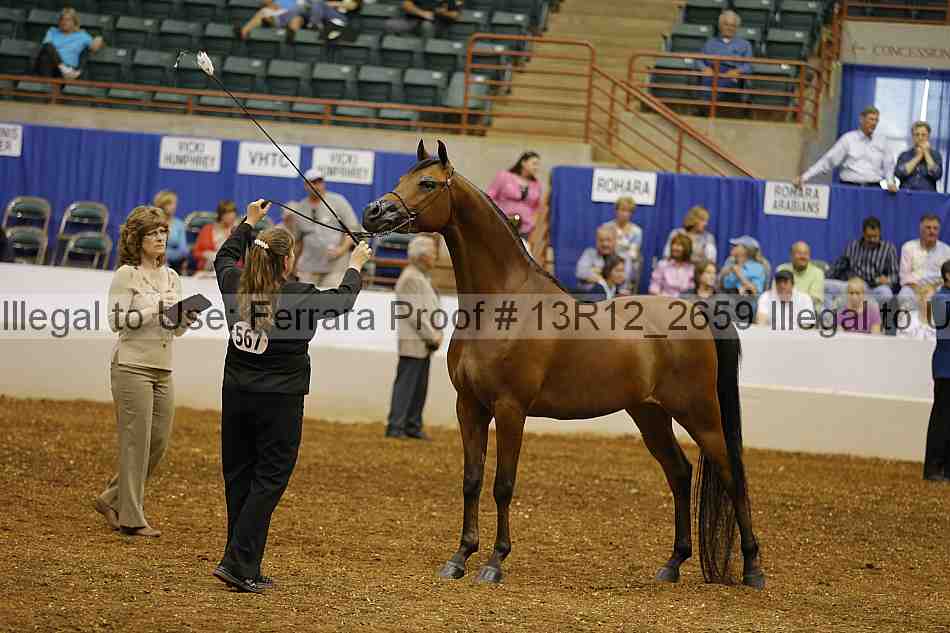 Proof 13r12_2659