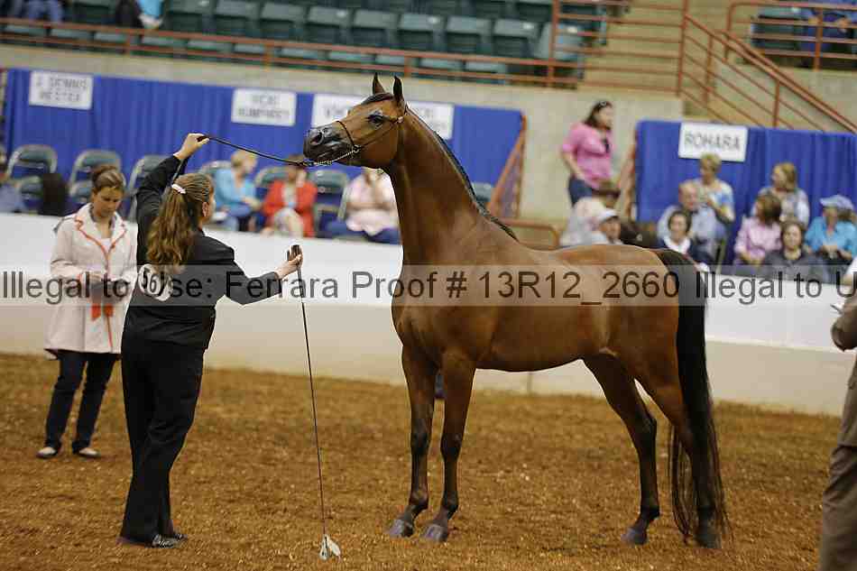 Proof 13r12_2660