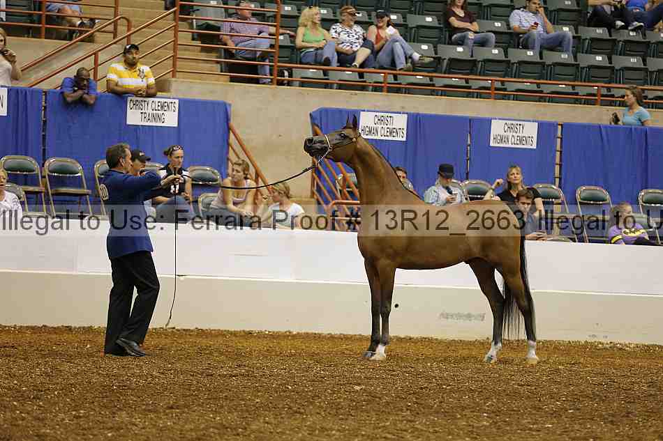 Proof 13r12_2663
