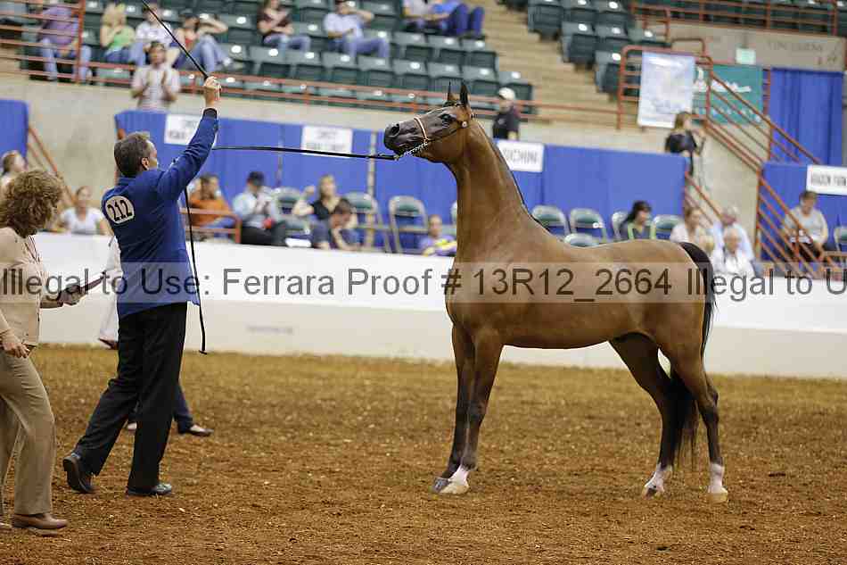 Proof 13r12_2664