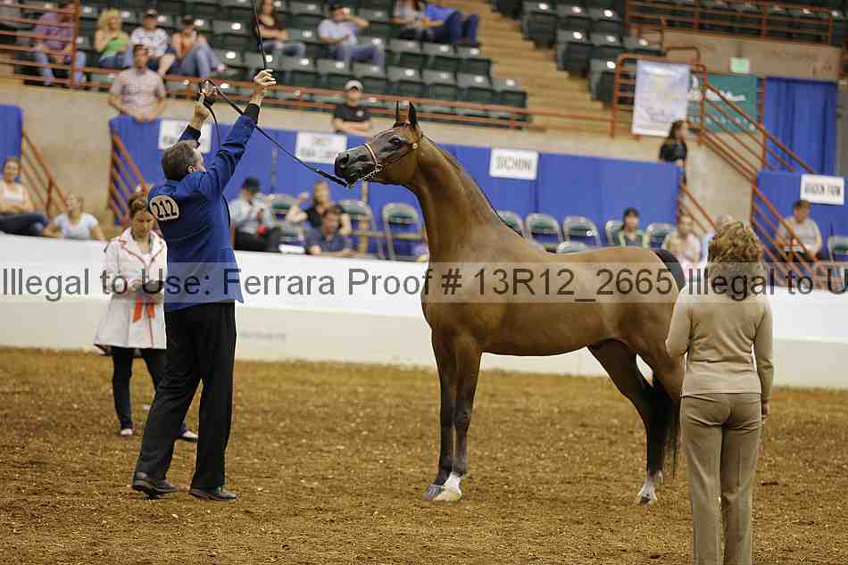 Proof 13r12_2665