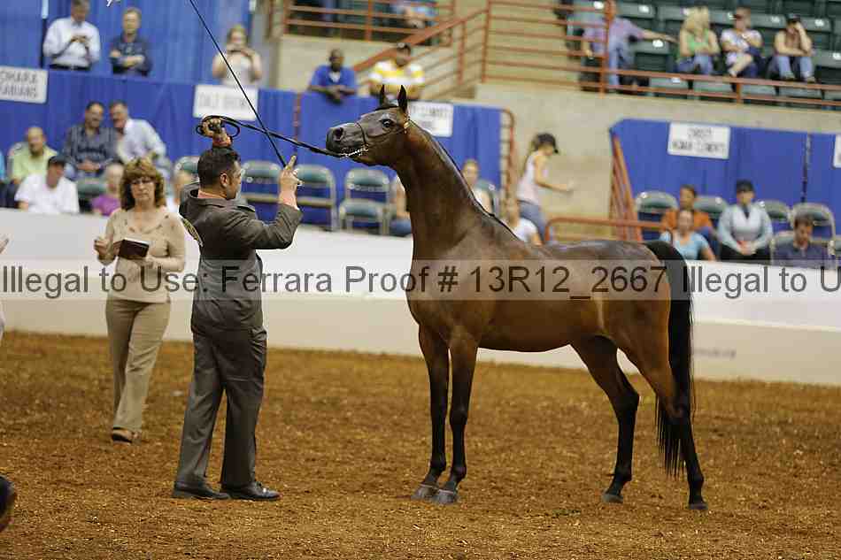 Proof 13r12_2667