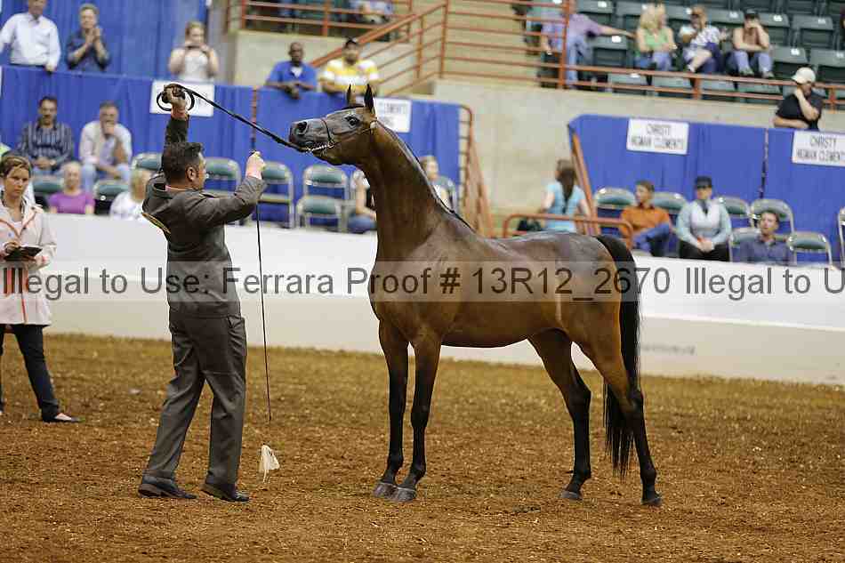 Proof 13r12_2670