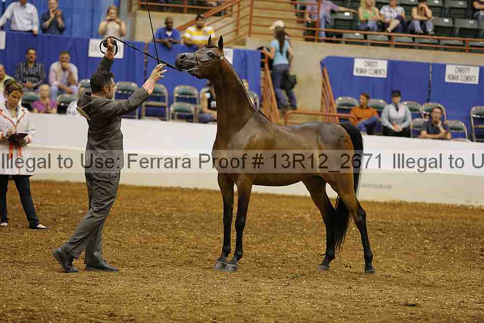 Proof 13r12_2671