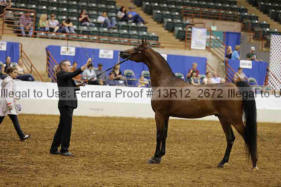 Proof 13r12_2672