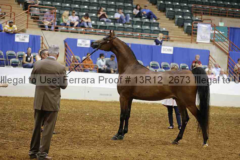 Proof 13r12_2673