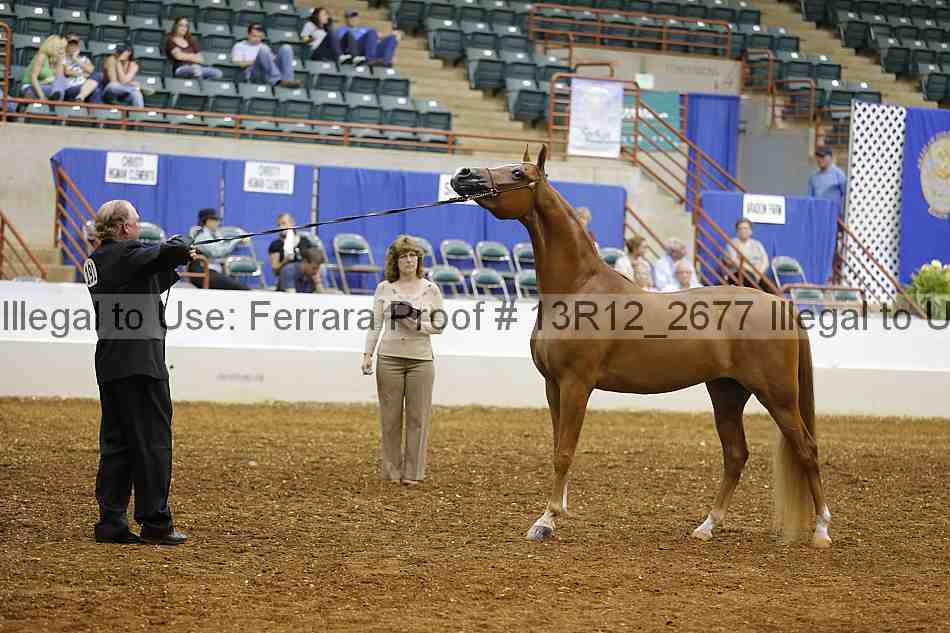 Proof 13r12_2677