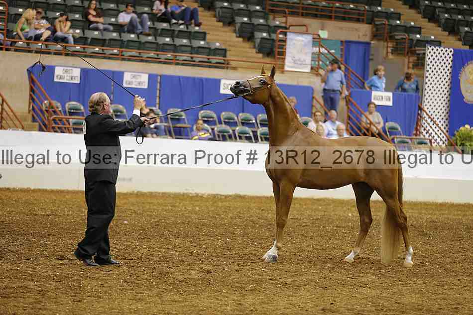 Proof 13r12_2678
