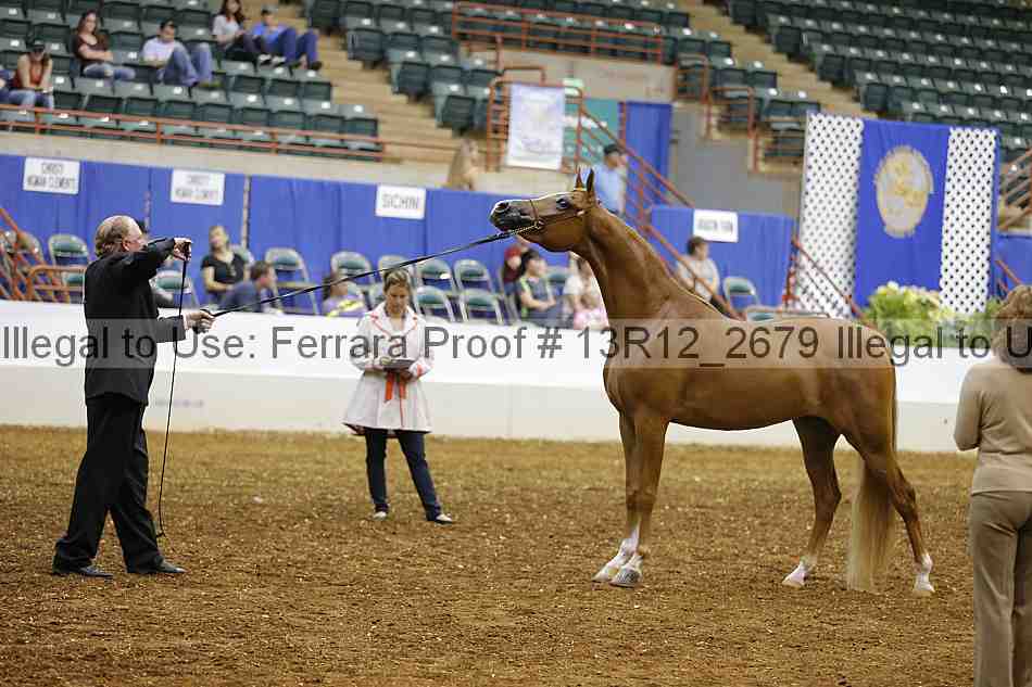 Proof 13r12_2679