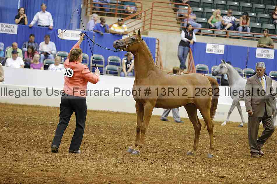 Proof 13r12_2682