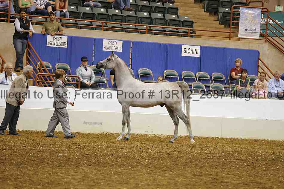 Proof 13r12_2687