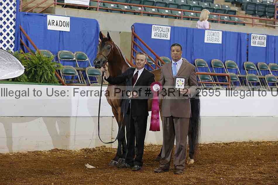 Proof 13r12_2695