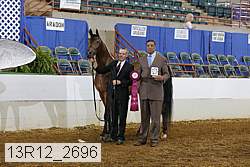 13r12_2696 proof