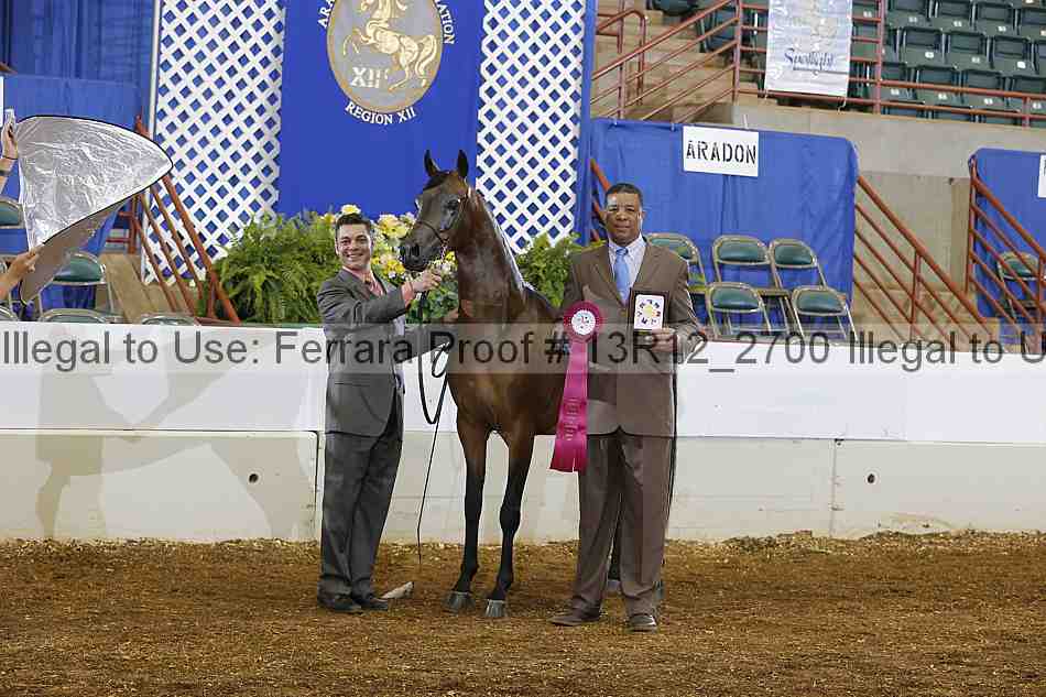 Proof 13r12_2700