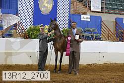 13r12_2700 proof