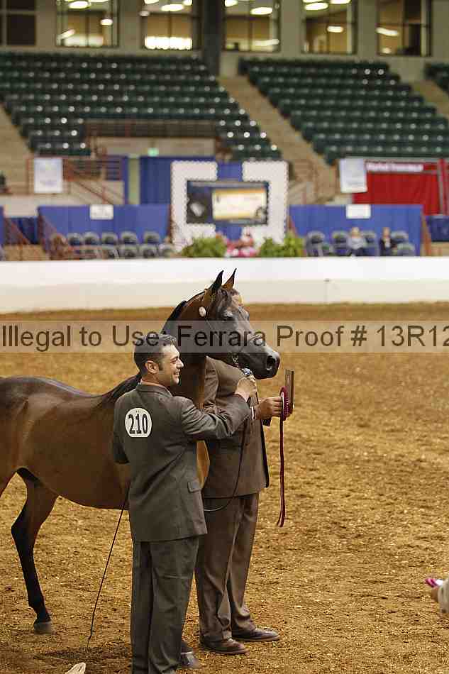 Proof 13r12_2701