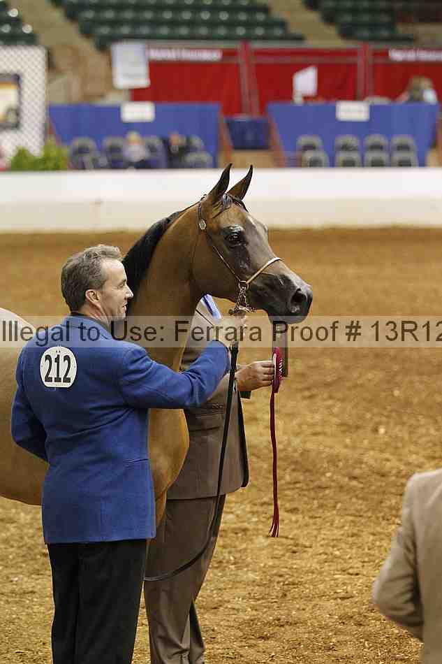 Proof 13r12_2703