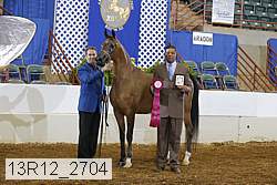 13r12_2704 proof
