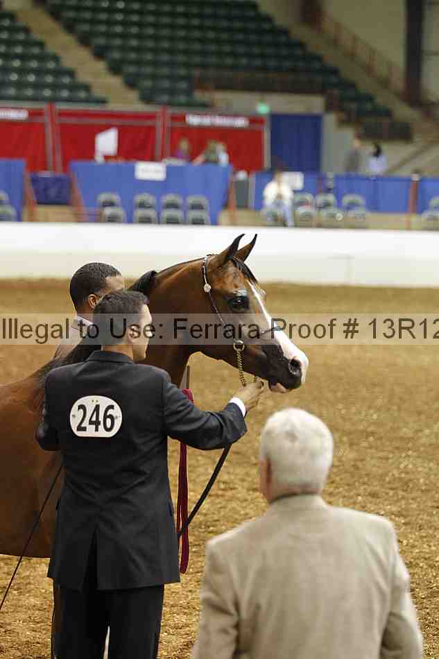 Proof 13r12_2705