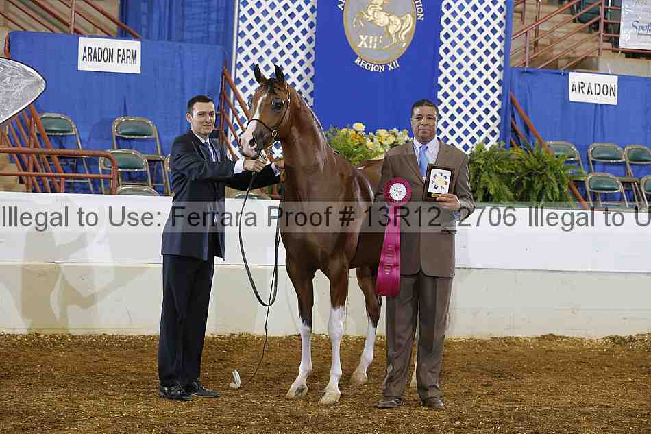 Proof 13r12_2706