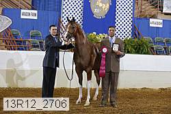 13r12_2706 proof