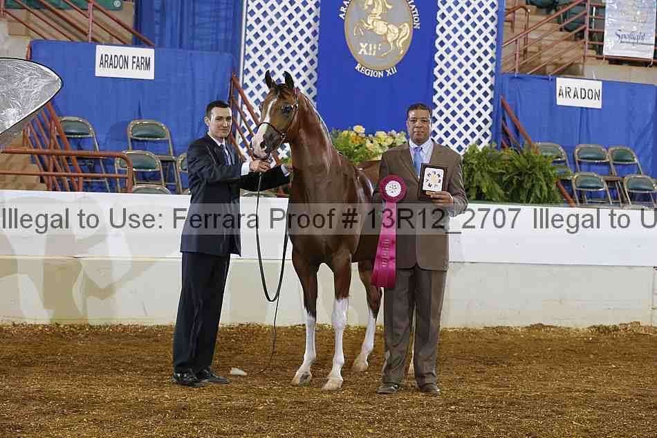 Proof 13r12_2707