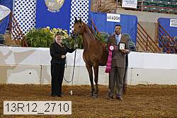 13r12_2710 proof