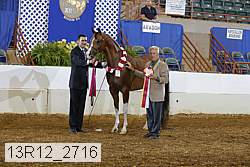 13r12_2716 proof