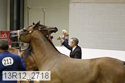 13r12_2718 proof