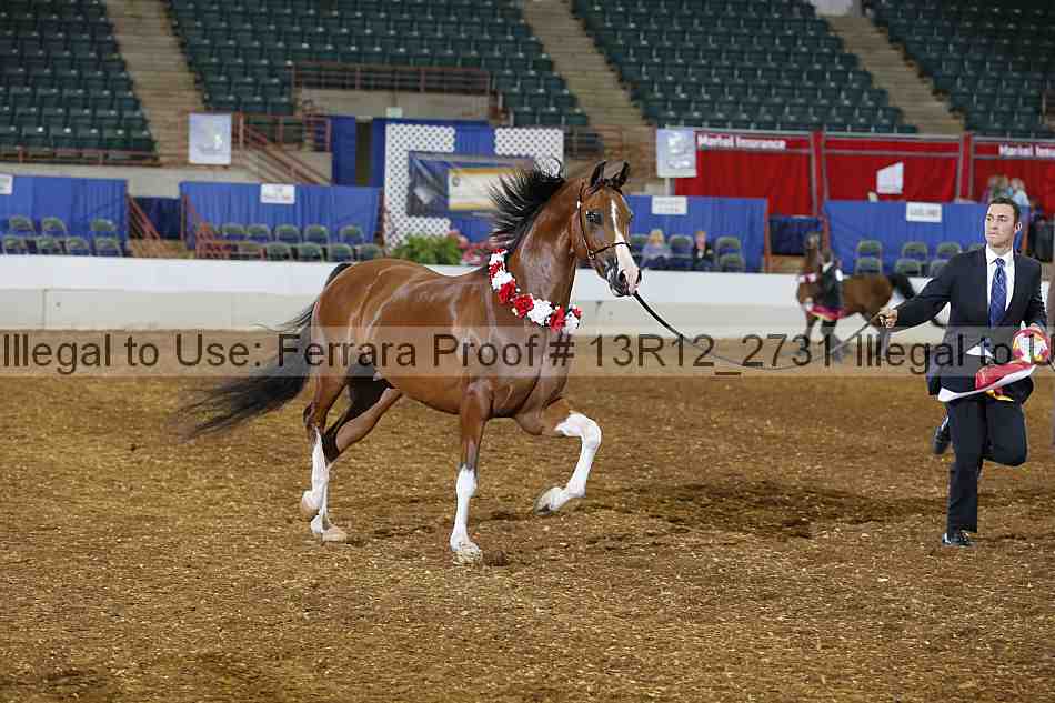 Proof 13r12_2731