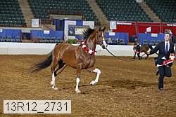 13r12_2731 proof