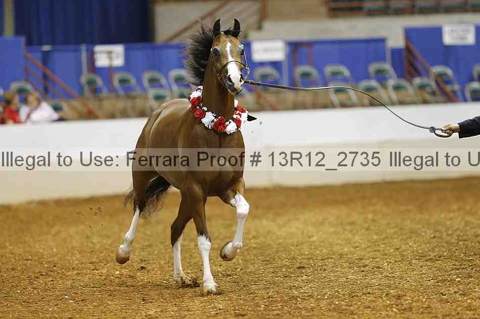 Proof 13r12_2735