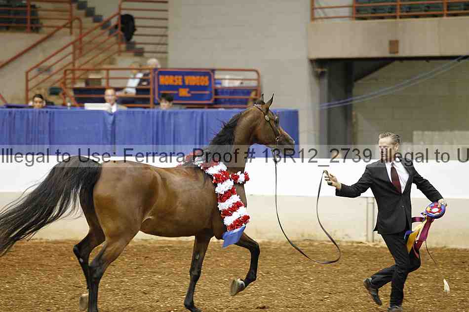Proof 13r12_2739