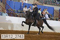 13r12_2743 proof