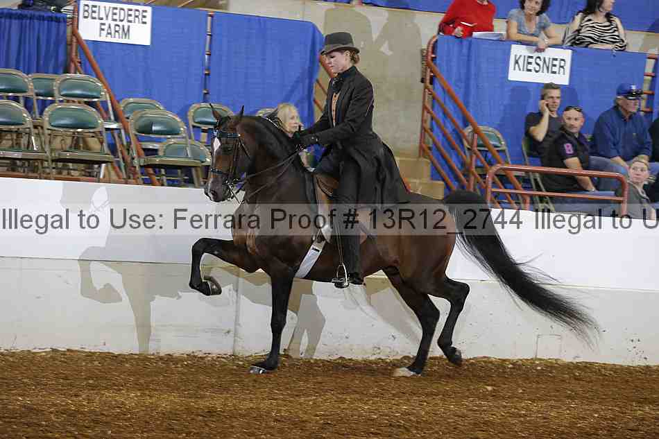 Proof 13r12_2744