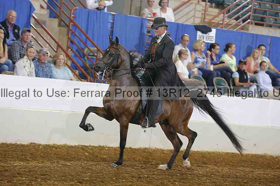 Proof 13r12_2745