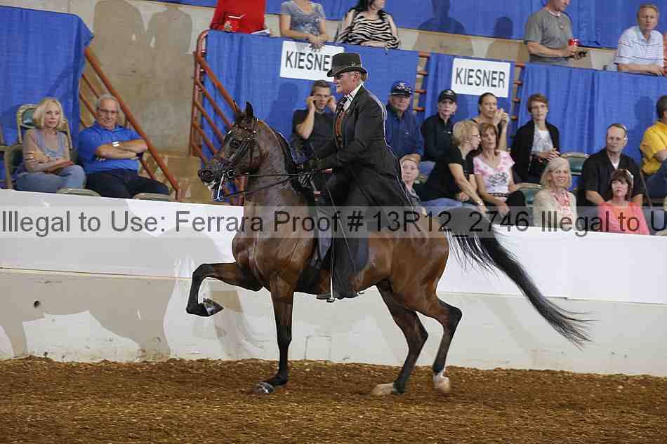 Proof 13r12_2746