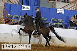 13r12_2748 proof
