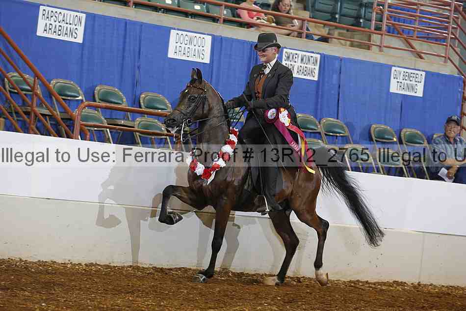 Proof 13r12_2765