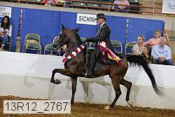 13r12_2767 proof